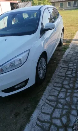 ford lubuskie Ford Focus cena 35999 przebieg: 176100, rok produkcji 2017 z Nowe Skalmierzyce